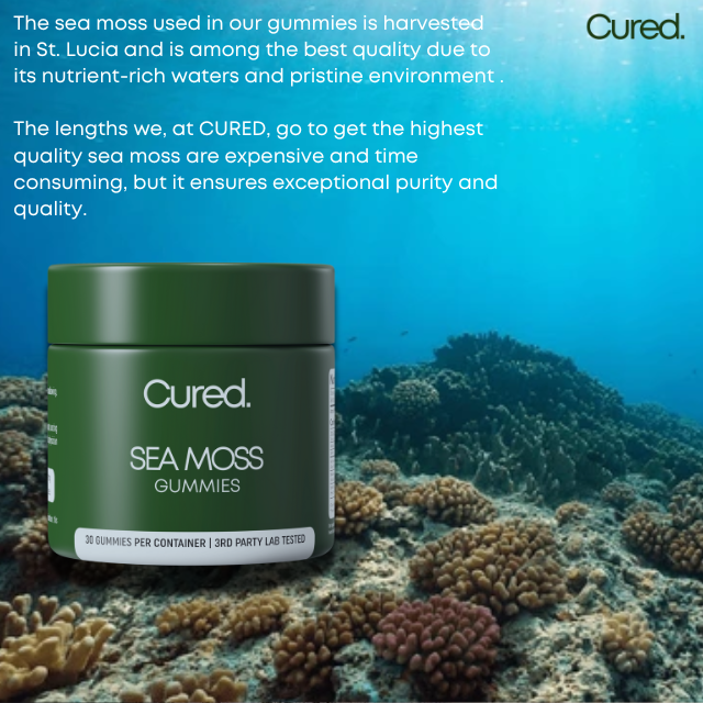 CURED® Sea Moss Gummies